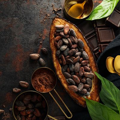 Concept of fresh and aromatic food - cacao beans