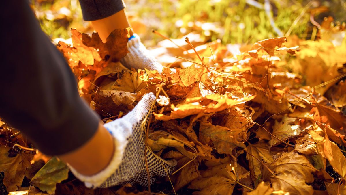 Gartenarbeit im Herbst: Diese Aufgaben sollten Sie jetzt erledigen