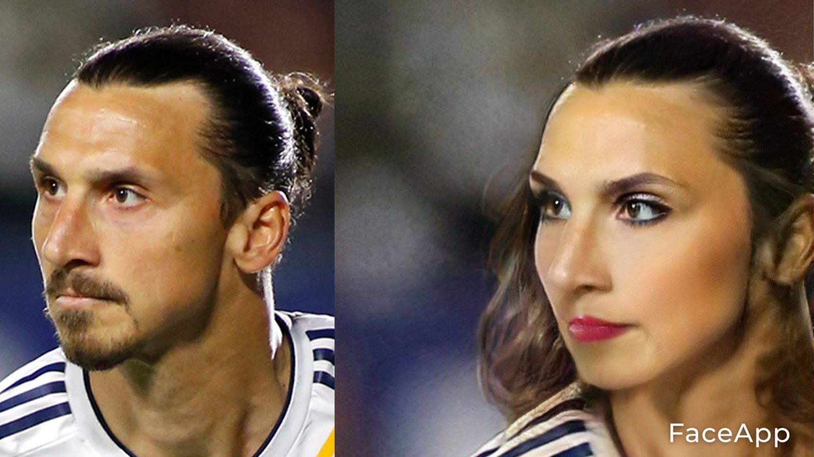 
                <strong>Zlatan Ibrahimovic</strong><br>
                Zlatana wäre eine Göttin gewesen. Die Beste und die Schönste. Zumindest in ihren Augen. Ganz der "Bruder" halt. 
              