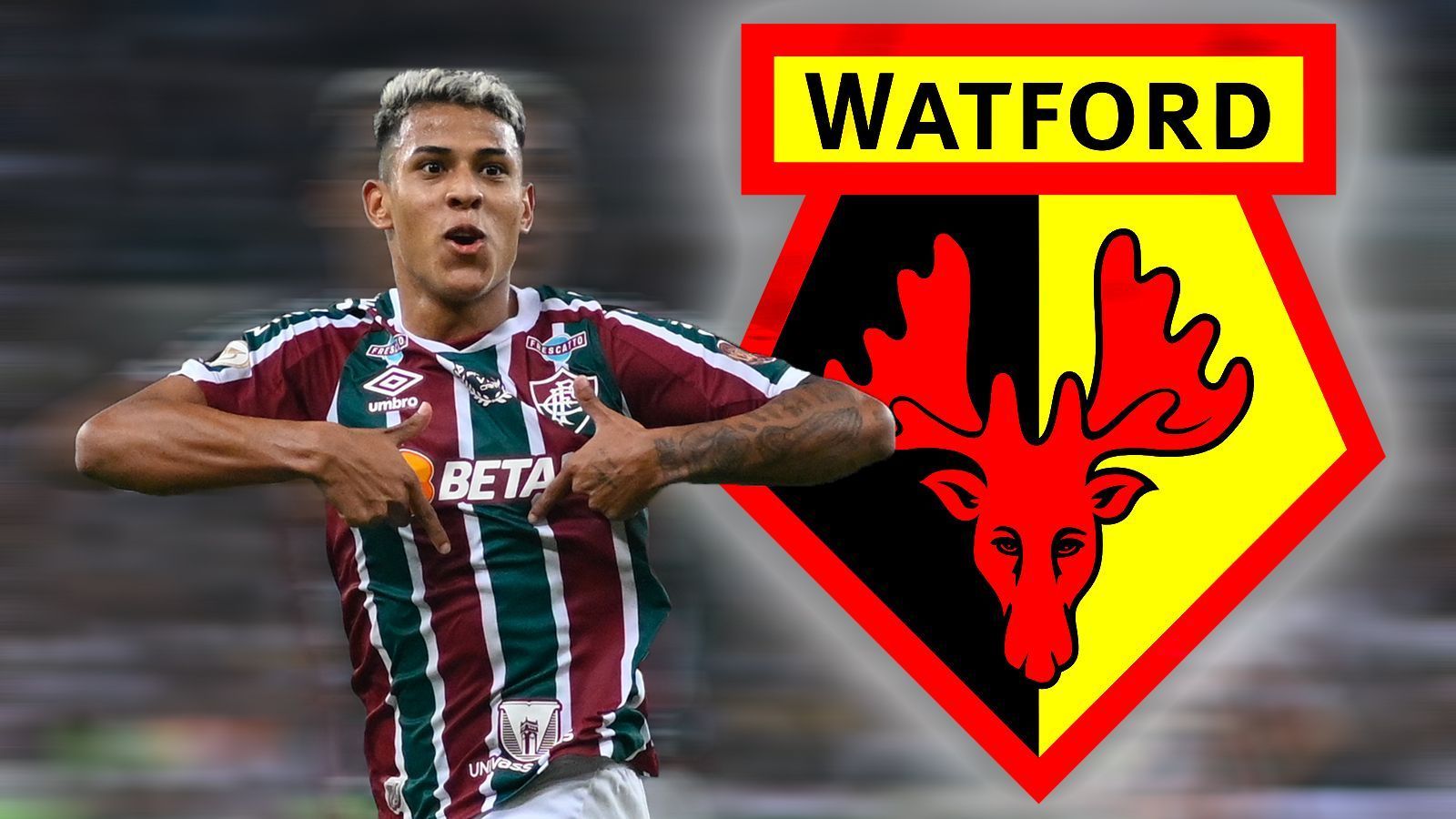 
                <strong>Matheus Martins (FC Watford)</strong><br>
                Der englische Zweitligist FC Watford hat sich die Dienste des brasilianischen Talents Matheus Martins von Fluminense gesichert. Laut Insider Fabrizio Romano überweist Watford sechs Millionen Euro für den 19-Jährigen. Drei weitere Millionen können via Bonuszahlungen hinzukommen. Martins avancierte 2022 zur Stammkraft bei Fluminense und stand in seiner Karriere in insgesamt 57 Partien für die Profimannschaft aus Rio de Janeiro auf dem Rasen. Er erzielte acht Tore und legte sechs weitere auf. 
              