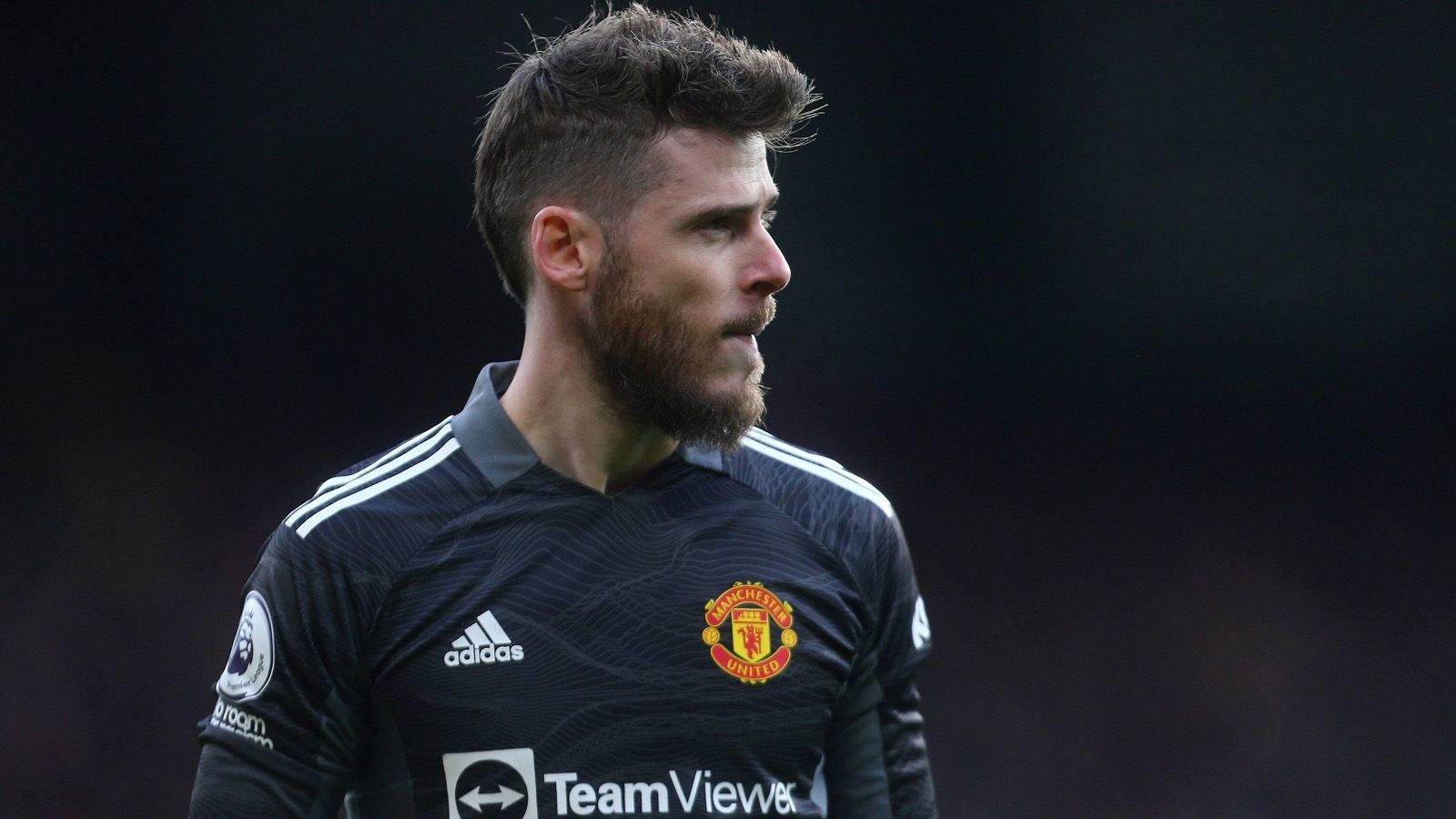 
                <strong>Platz 10: David de Gea (Manchester United) </strong><br>
                Jahresgehalt: 23.300.000 Euro
              