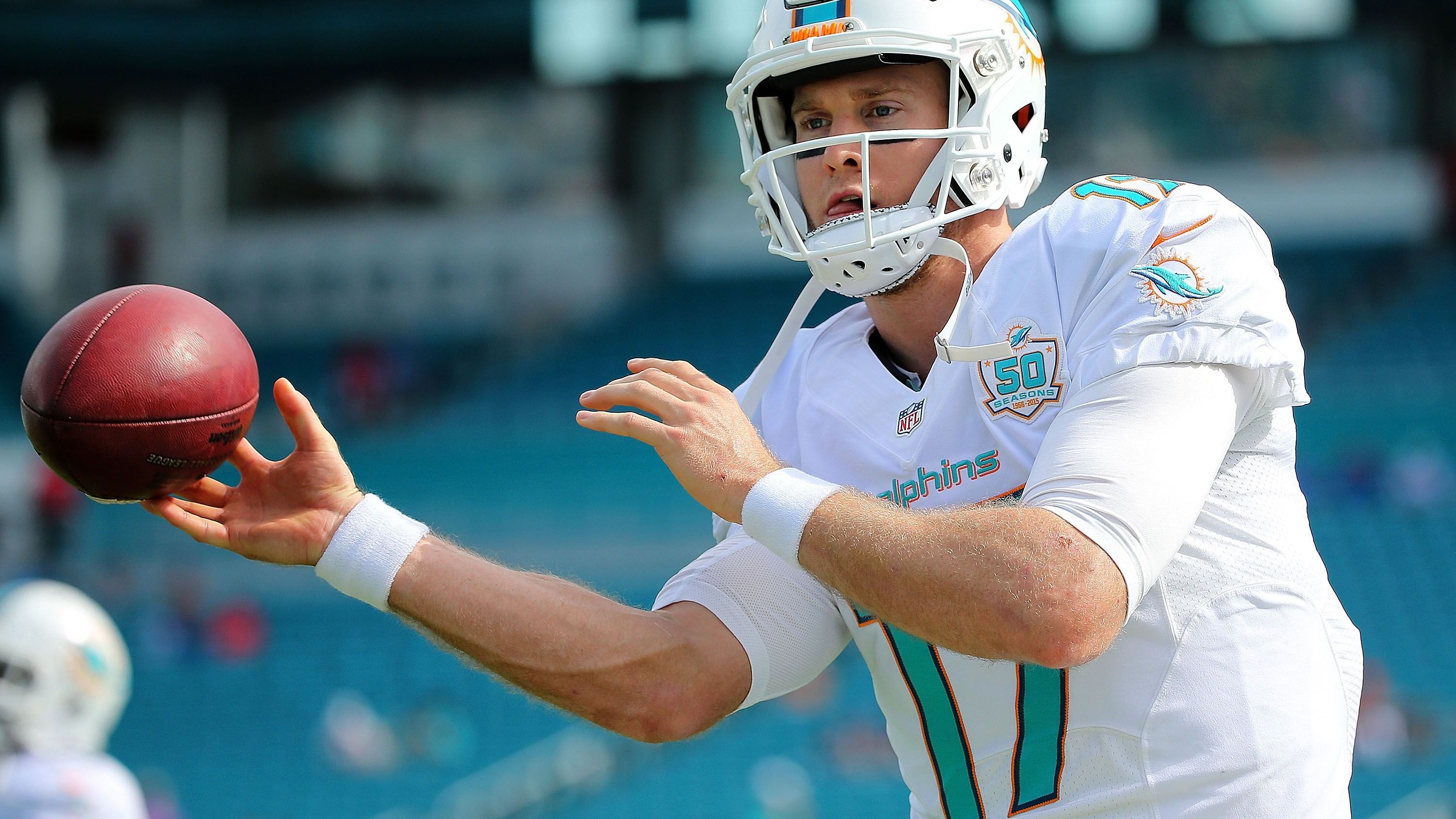 <strong>Ryan Tannehill (Miami Dolphins)</strong><br>Am 25. Oktober 2015 beim 44:26-Sieg über die Houston Texans: 18 Completions für 282 Yards bei 19 Versuchen, 4 Touchdowns.