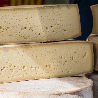Set di formaggi di malga prodotti in Veneto gustosi e semplici