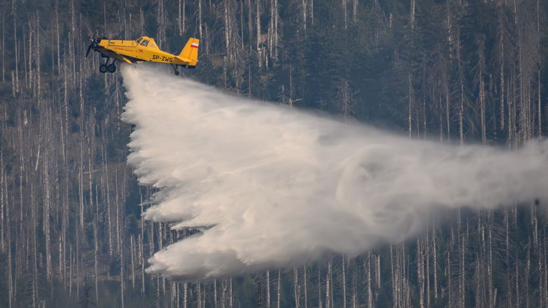 Bei Goslar brennen drei Hektar Wald, auch das Löschflugzeug "Hexe" hilft bei der Brandbekämpfung. (Archivbild)