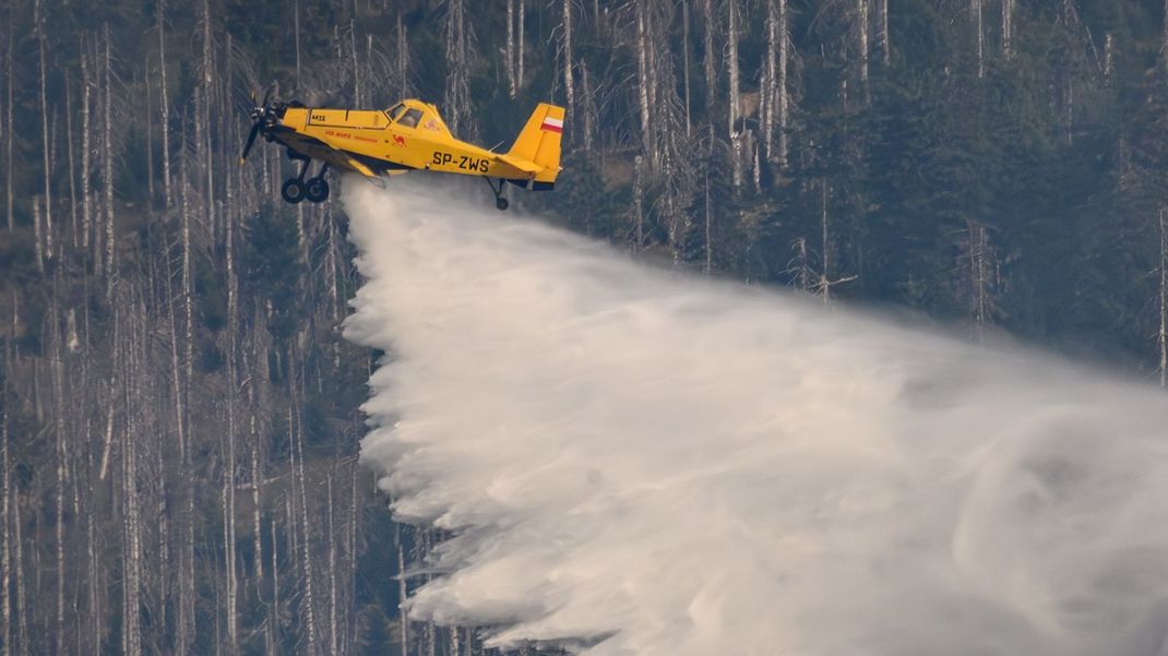 Waldbrand bei Goslar 
