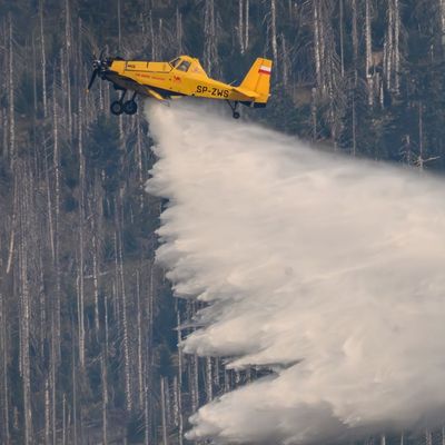 Waldbrand bei Goslar 