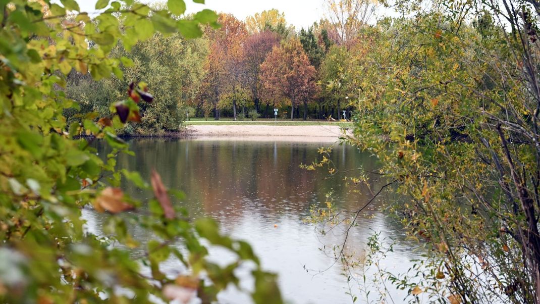 Baggersee Germersheim