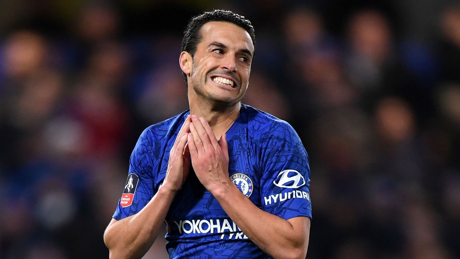 
                <strong>Pedro (FC Chelsea)</strong><br>
                Für Pedro läuft das letzte Vertragsjahr beim FC Chelsea alles andere als nach Plan. In (un)schöner Regelmäßigkeit warfen ihn Verletzungen zurück: Im August eine Muskelquetschung, im Oktober eine Wadenzerrung, im November und Dezember jeweils ein Achillessehnenanriss, rund um den Jahreswechsel fehlte der Spanier mit grippalem Infekt. Ist der Welt- und Europameister einsatzbereit, beordert Coach Frank Lampard ihn meistens auch in die Startelf, dennoch kommt er nicht einmal in jedem zweiten Spiel zum Einsatz. Nicht die besten Aussichten für einen Verbleib. Pedro selbst hat eigenen Angaben zufolge schon Abschiedsgrüße von Fans erhalten, will sich die Option eines Verbleibs aber ausdrücklich offenhalten. Noch habe es aber keine Gespräche gegeben - ein Routinier mit seiner Erfolgsgeschichte behält eben auch in der Corona-Krise die Ruhe.
              