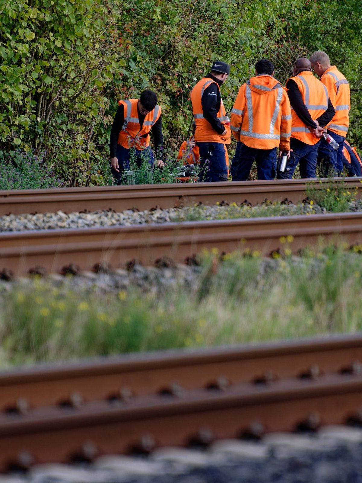 Durchtrennte Kabel beeinträchtigen Zugverkehr Köln - Düsseldorf