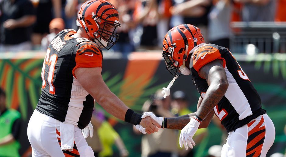 
                <strong>Cincinnati Bengals</strong><br>
                Russell Bodine (Center, im Bild links), Clint Boling (Guard)
              
