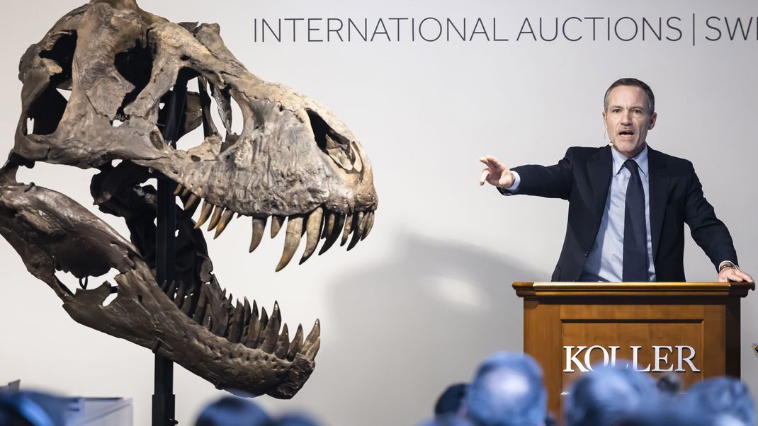 T-Rex unter dem Hammer: Geschäftsführer Cyril Koller des Auktionshauses während der Auktion in der Schweiz.
