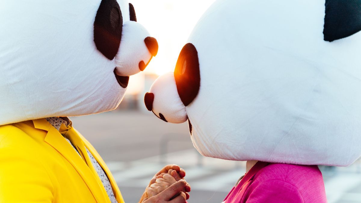 Storytelling image of a couple wearing giant panda head