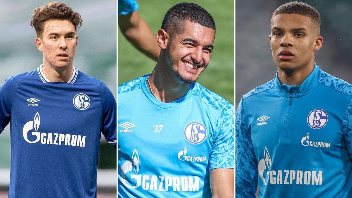 Die mögliche Zweitliga-Elf des FC Schalke 04