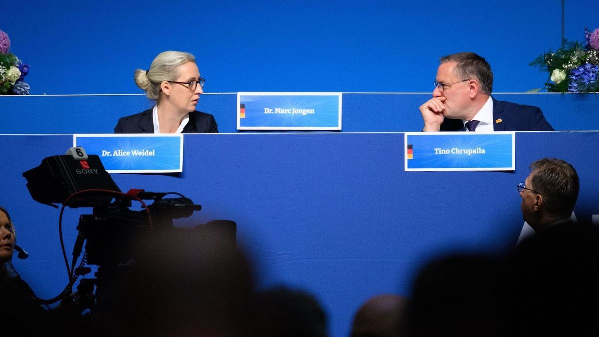 AfD-Chefs Weidel und Chrupalla