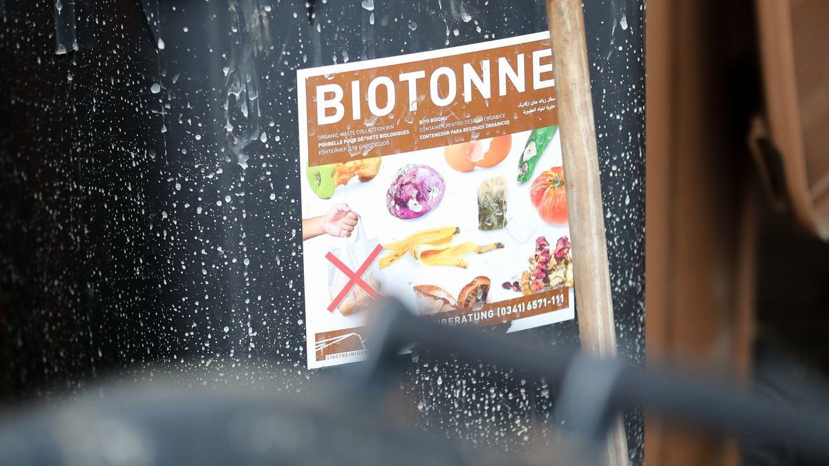 Inhalt von Biotonnen wird untersucht