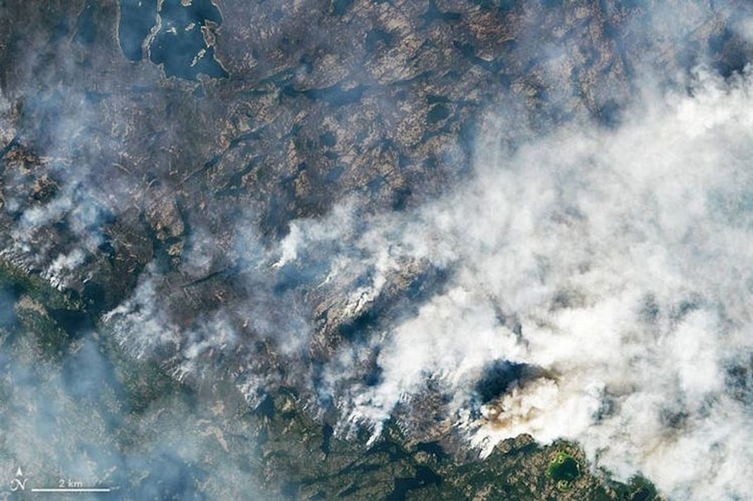 Verheerende Waldbrände: „Werden vom Klimawandel und dem Verlust von Natur getrieben“