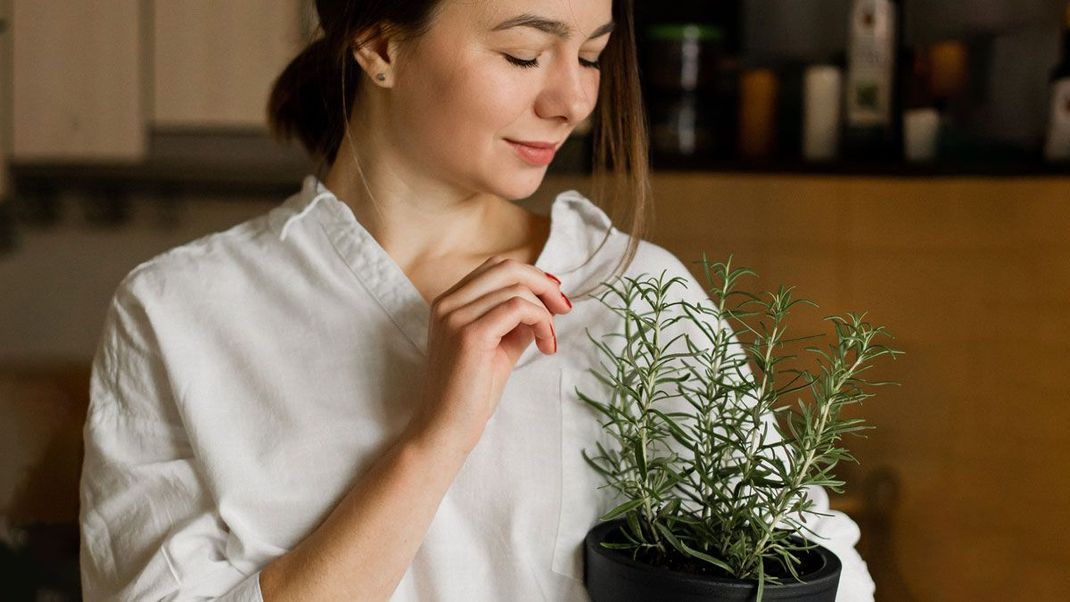 Vorbeugende Pflege für die Haare dank Rosmarinöl – wir verraten euch, wie ihr mit wenigen Handgriffen das Wundermittel selbst zaubern könnt. 