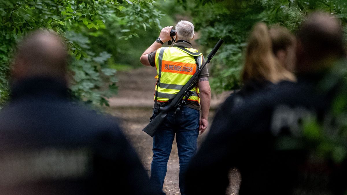 Jäger und Polizeibeamte auf der Suche nach der vermeintlichen Löwin in Berlin und Brandenburg