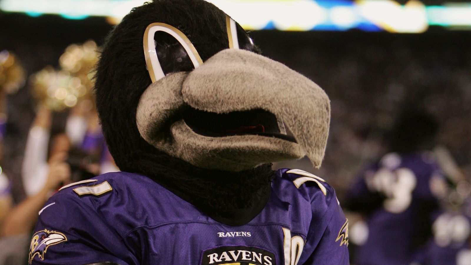 <strong>Baltimore Ravens</strong><br>- Niemand -