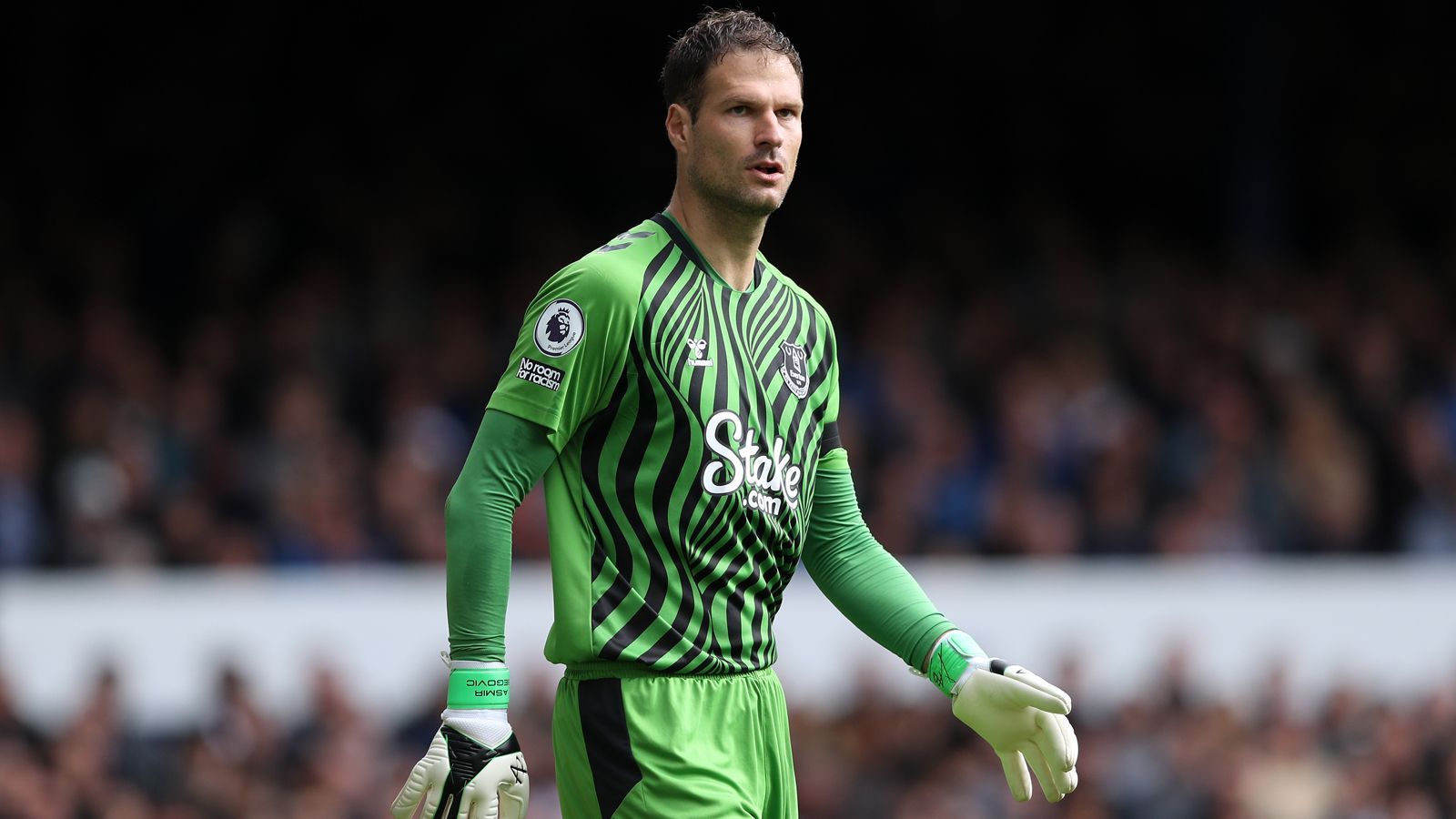 
                <strong>Asmir Begovic (FC Everton)</strong><br>
                &#x2022; Größe: 1,99 Meter<br>&#x2022; Alter: 35 Jahre<br>&#x2022; Position: Torwart<br>
              