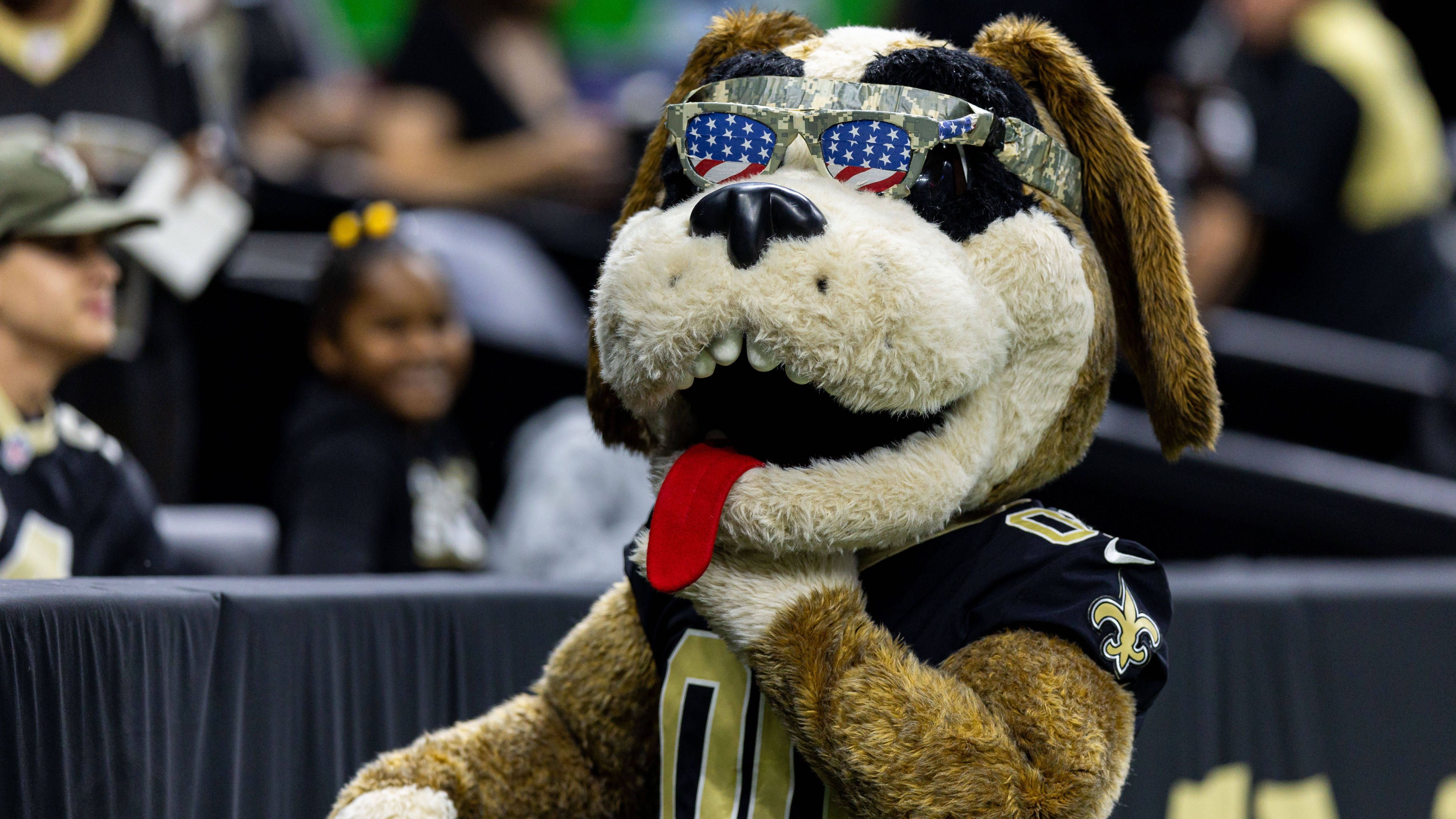 <strong>New Orleans Saints</strong><br>Offizielles Maskottchen: Gumbo und Sir Saint<br>ChatGPT: Gris Gris<br>Erklärung: Anspielung auf Voodoo-Kultur