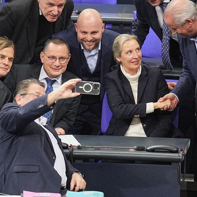 AfD im Bundestag