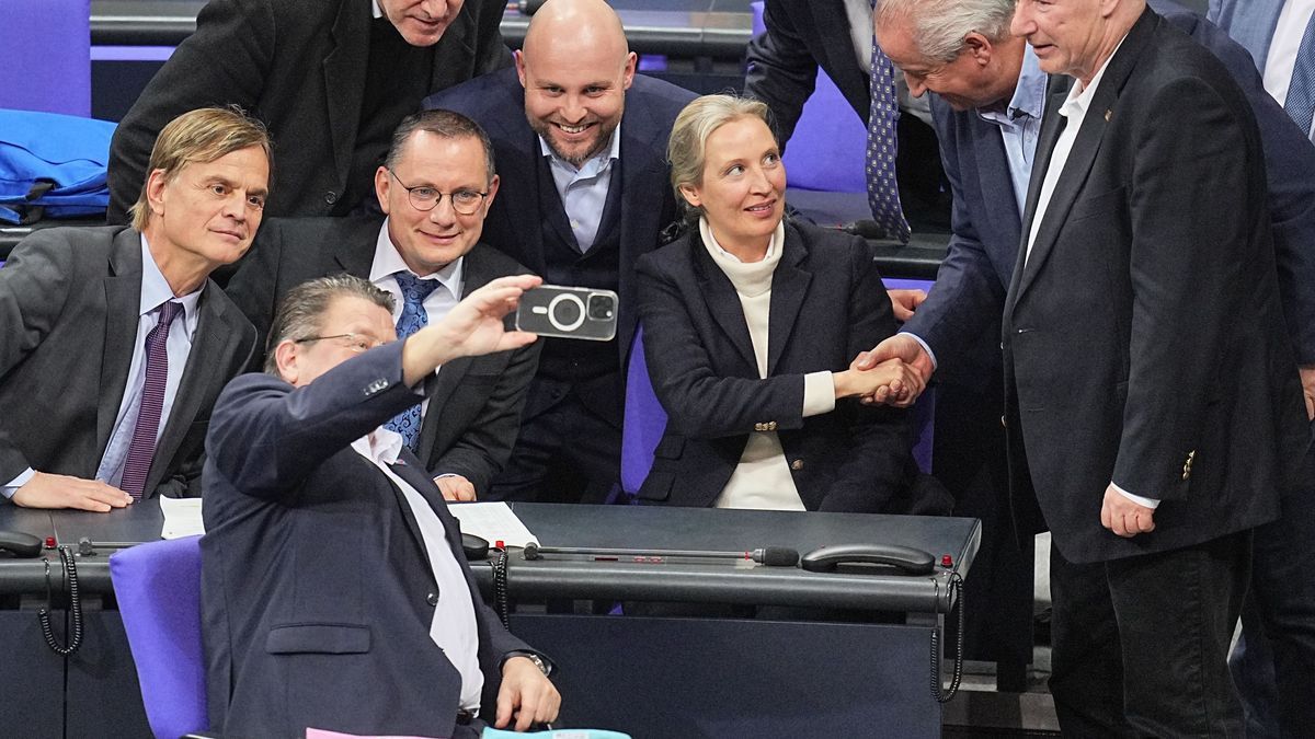 AfD im Bundestag