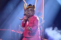 "The Masked Singer" 2024 - Das Nashorn 