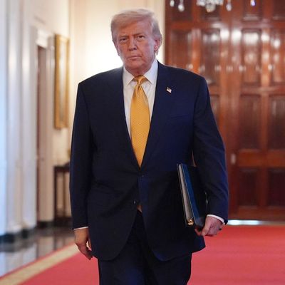 US-Präsident Trump über Eindämmung des tödlichen Fentanylhandels