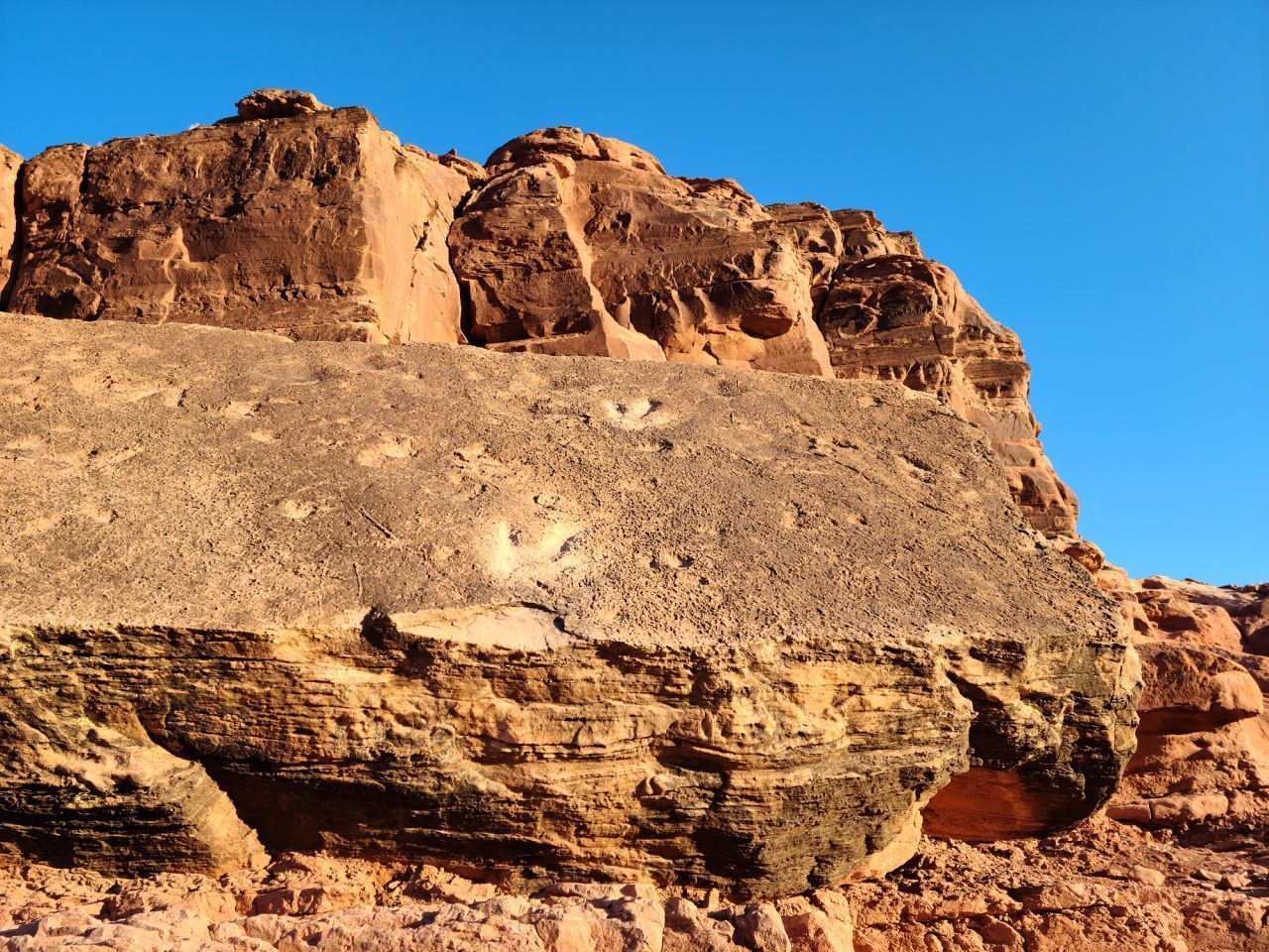 Die Abdrücke im Fels sind Fußspuren von Dinosauriern. In Utah/USA gibt es den Poison Spider Dinosaur Tracksite Trail. Auf diesem Weg siehst du die Spuren der Dinos.