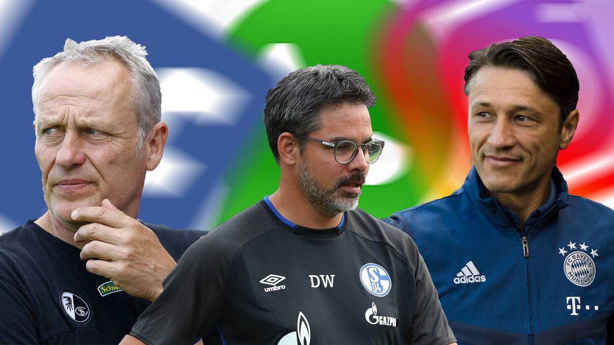 Handyregeln der Bundesligisten