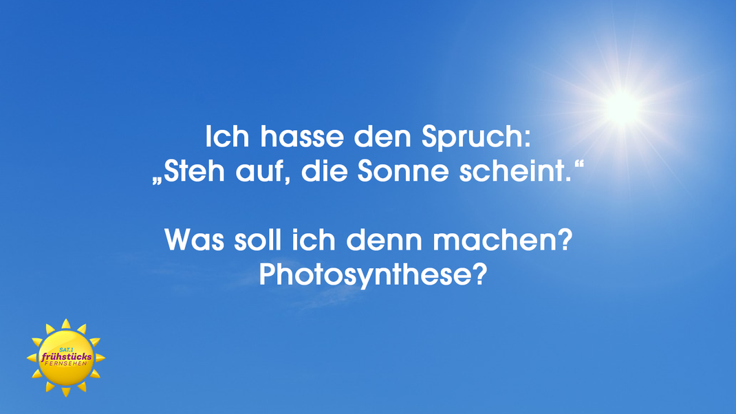 Bei Sonnenschein darf man nicht faul sein? Falsch gedacht!