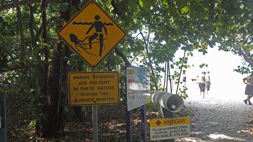 Ein Schild warnt vor Quallen an einem australischen Strand. Zur Ersten-Hilfe ist auch eine Flasche mit Essig griffbereit. Immer wieder müssen Strände wegen Quallen komplett gesperrt werden.