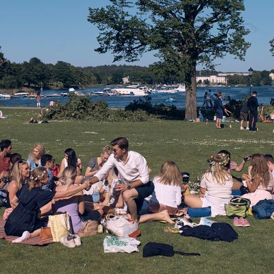 Schweden, Stockholm: Eine Gruppe junger Menschen picknickt während der jährlichen Mittsommer-Feierlichkeiten. In Skandinavien wird zur Sommersonnenwende das Mittsommer-Fest gefeiert.
