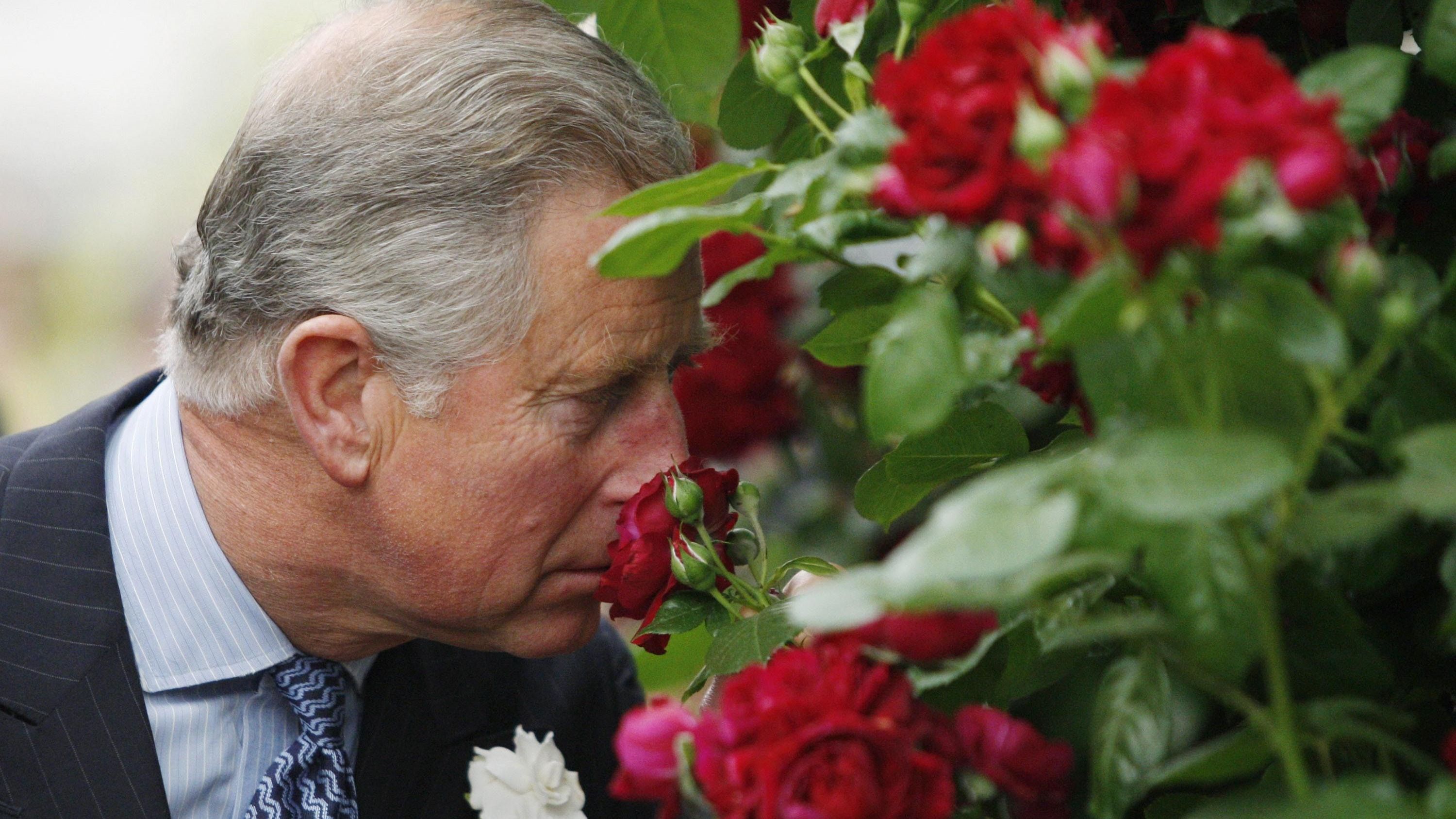 Die jährliche Blumenshow in Chelsea, London, ist sicherlich ein Highlight der königlichen Verpflichtungen von Hobbygärtner Charles.