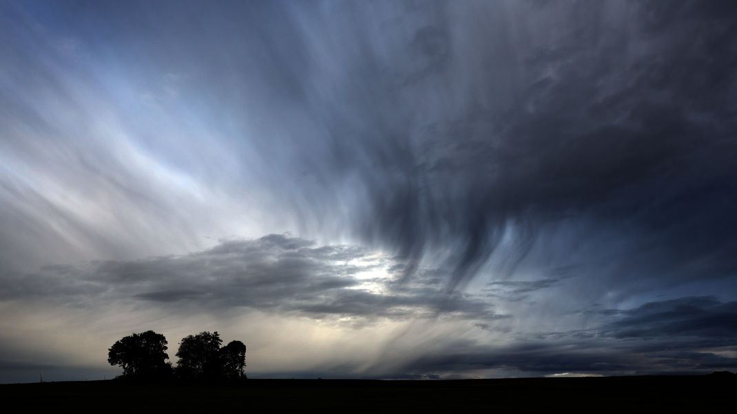 Regenwolken ziehen über eine Baumgruppe.