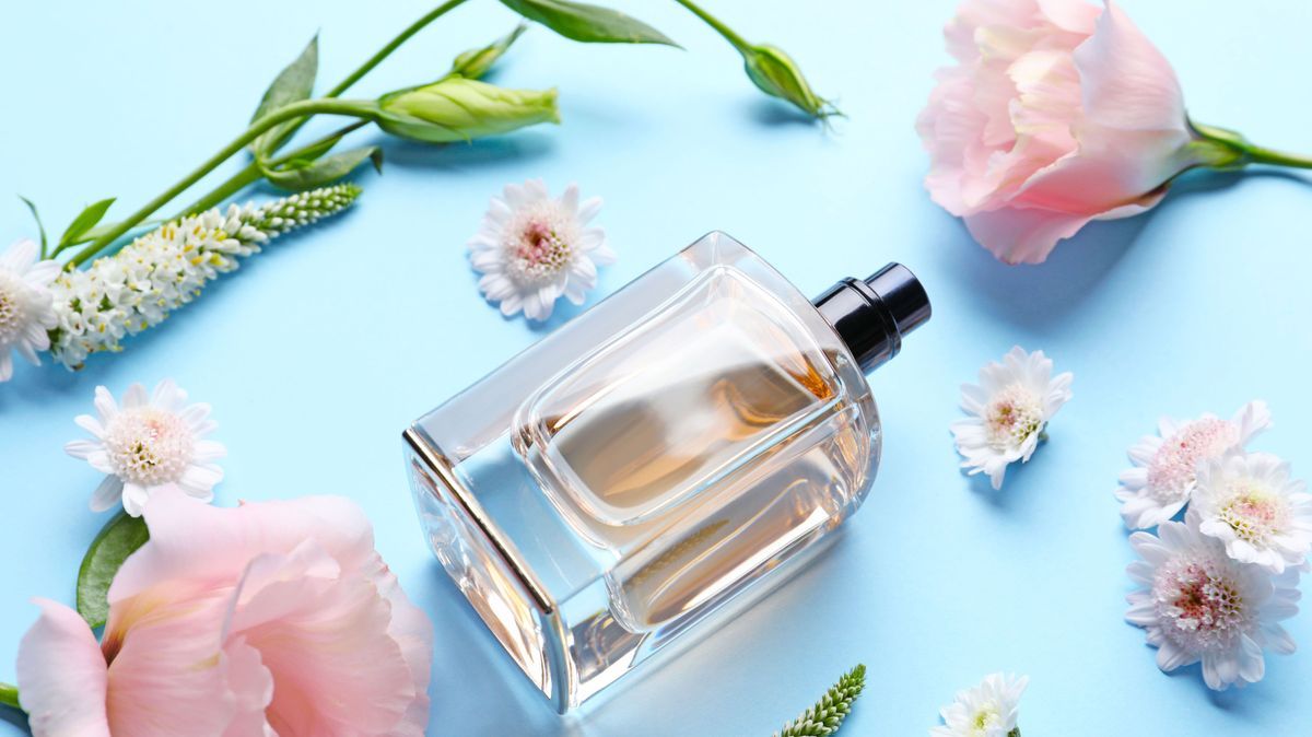 Bottle of perfume with flowers on color background