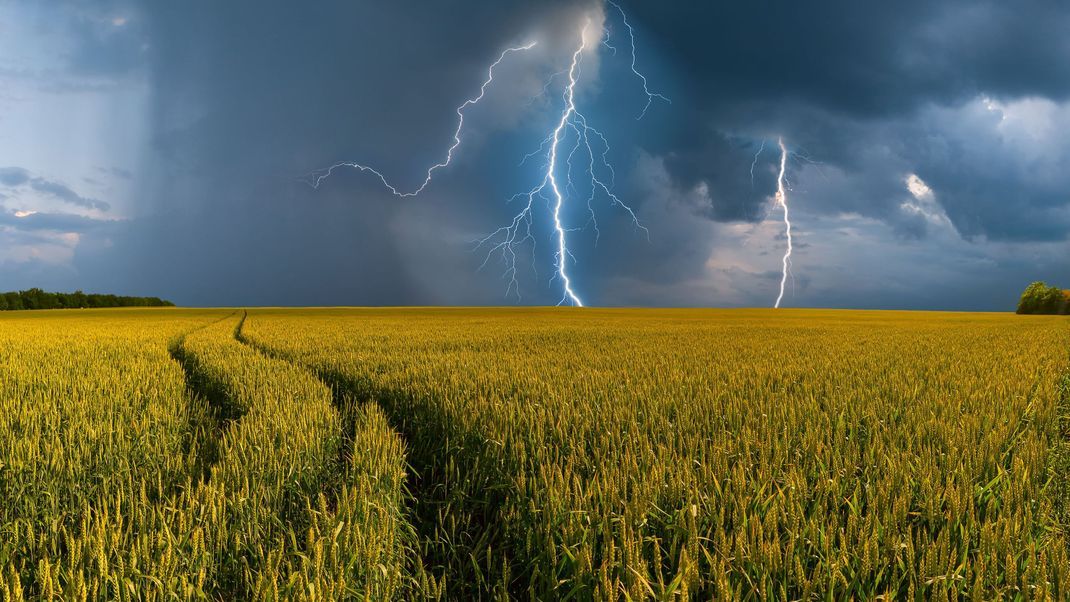 Der Deutsche Wetterdienst (DWD) spricht für Teile des Saarlandes eine amtliche Warnung vor starken Gewittern aus. (Symbolbild)