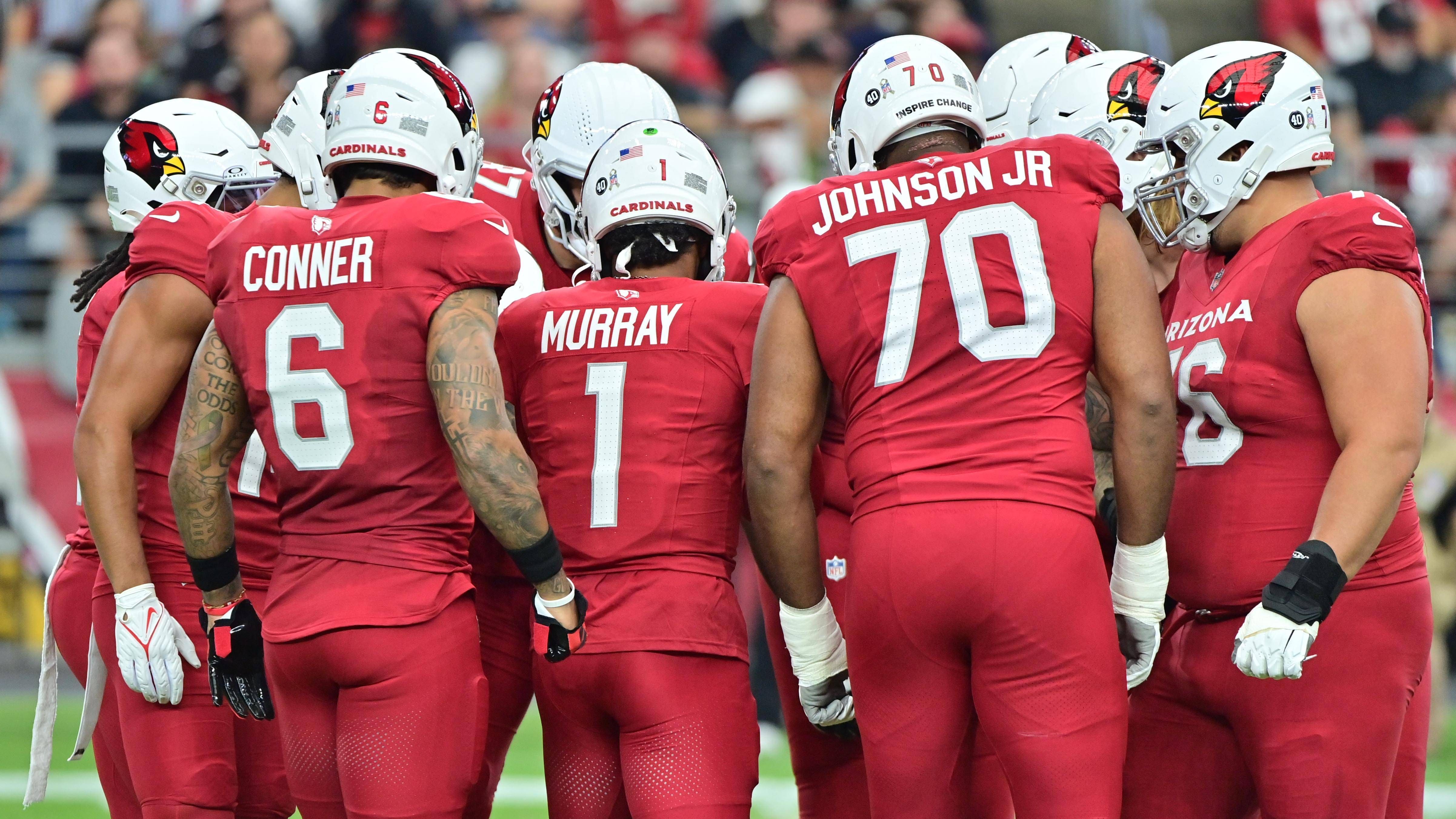 <strong>Platz 10: Arizona Cardinals</strong><br>Siege in der NFL: 593