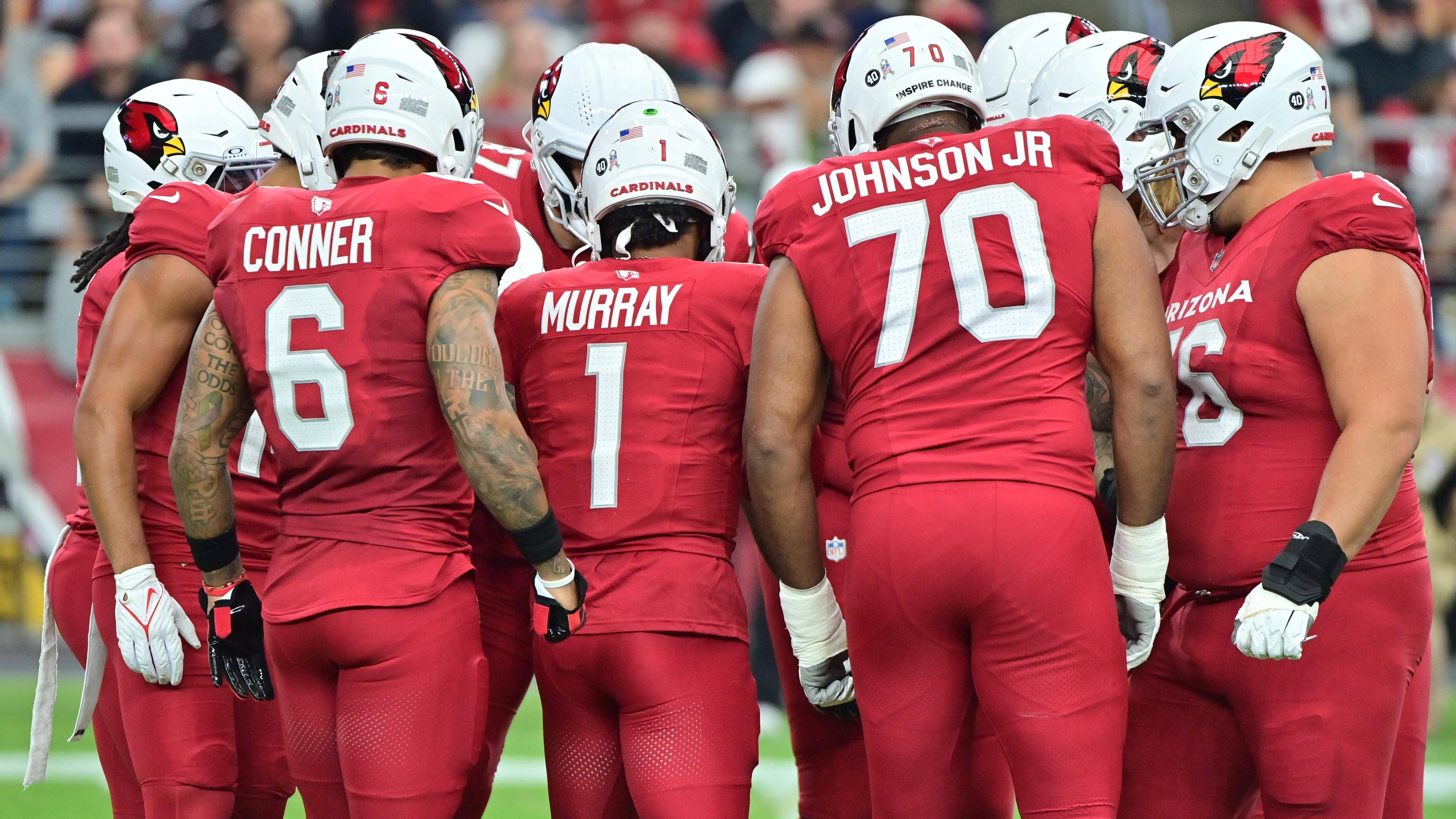 <strong>Pick 4: Arizona Cardinals</strong><br>Aktuelle Bilanz: 4-13<br>Strength of Schedule: .561
