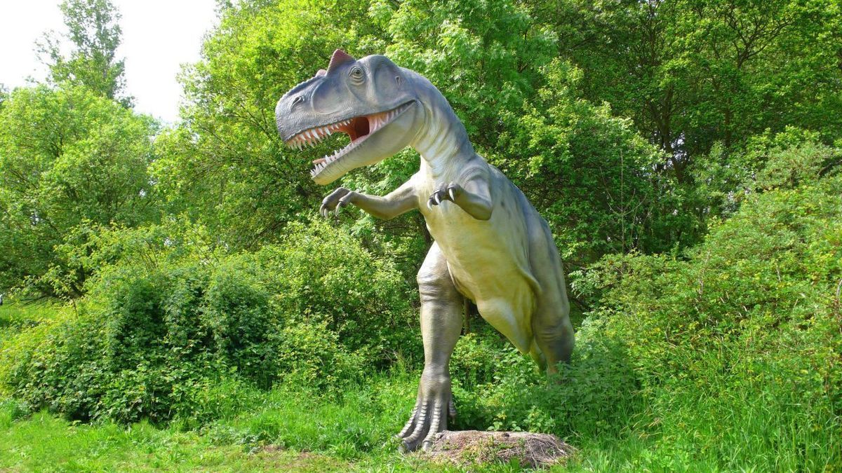 Allosaurus Dinos Deutschland 1