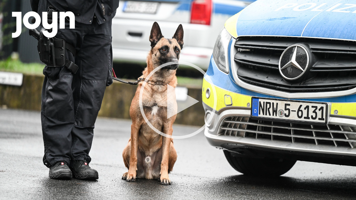 Joyn Teaser Hund Polizei