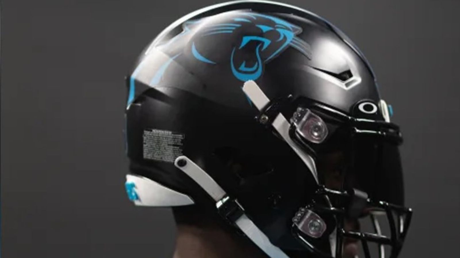 
                <strong>Carolina Panthers</strong><br>
                Die Carolina Panthers trennten sich 2022 ebenfalls von ihrer Grundfarbe Silber, allerdings auch von den Streifen in der Mitte des Helmes. Die neue Kopfbedeckung ist gänzlich schwarz, einzig das bekannte Logo ziert den alternativen Helm der Mannen aus Charlotte.
              