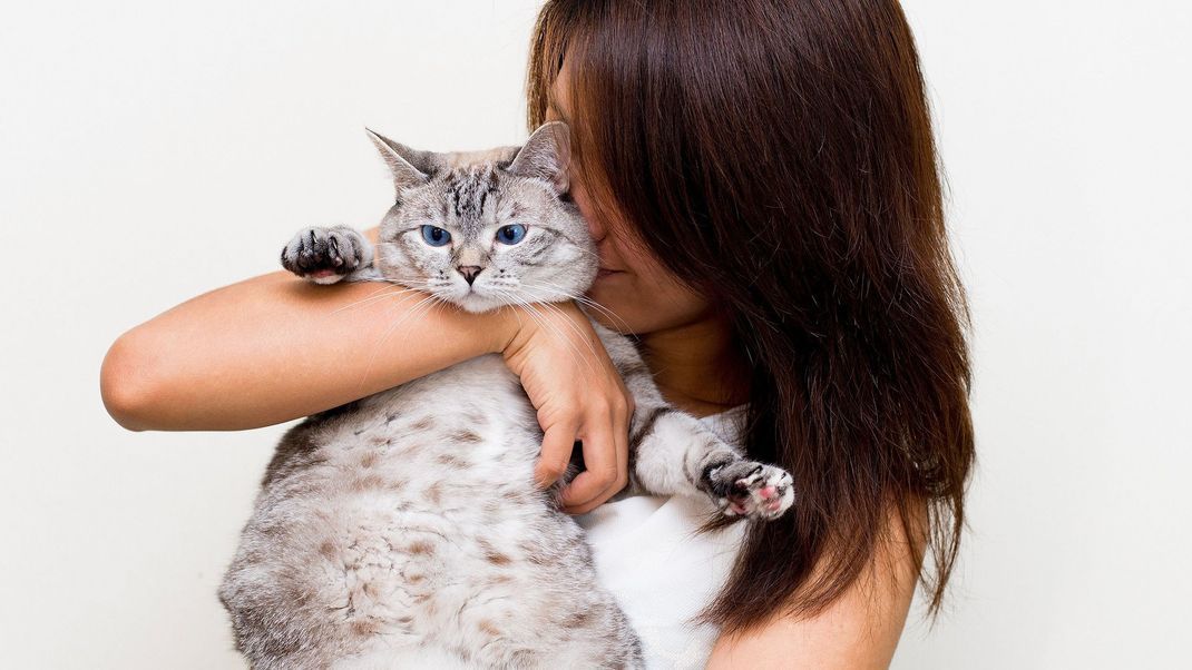 Pet-Fluencerin Nala Cat hat 4,5 Millionen Fans auf Instagram und besitzt eine eigene Katzenfutter-Marke.