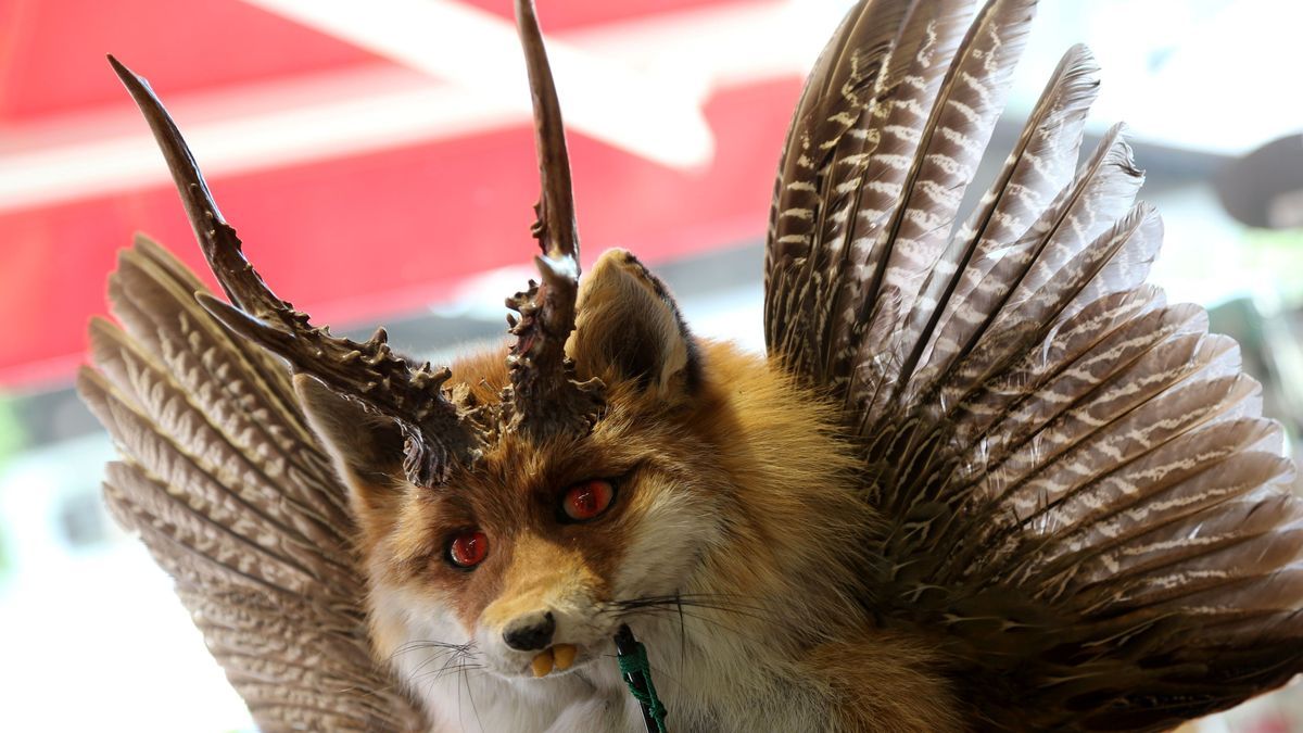 Wolpertinger sind Fabelwesen aus Bayern, die etwa seit 200 Jahren bekannt sind.