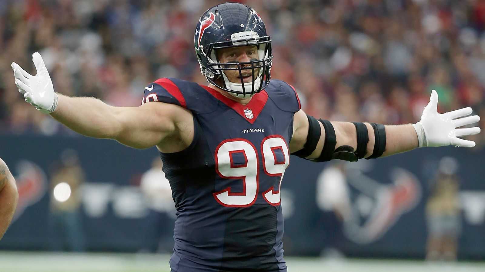 
                <strong>2015: J.J. Watt (Defense)</strong><br>
                Pro Bowl 2015J.J. Watt (Defense)Houston TexansDefensive End 
              