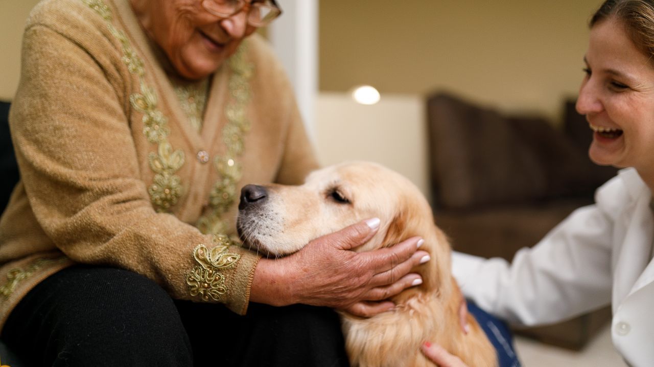 Besuche mit deinem Hund Kindertages-Stätten, Seniorenheime, Betreutes Wohnen oder Einrichtungen für Menschen mit Behinderung.