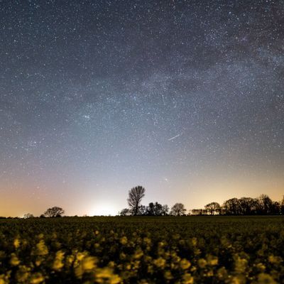 Jedes Jahr im April durchquert die Erde den Rest eines Kometenschweifs. Dabei tritt der Lyriden-Meteorschauer am Nachthimmel auf. 