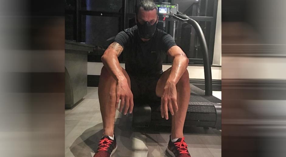 
                <strong>Zlatans Tipp Nr. 5</strong><br>
                Tipp Nummer 5: "Arbeite hart!" Ibrahimovic ist sich sicher, dass dieser Einsatz belohnt wird - wer will auch schon den einfachen Weg gehen. "Egal was du erreichen willst, arbeite hart dafür, denn es ist nicht leicht."
              