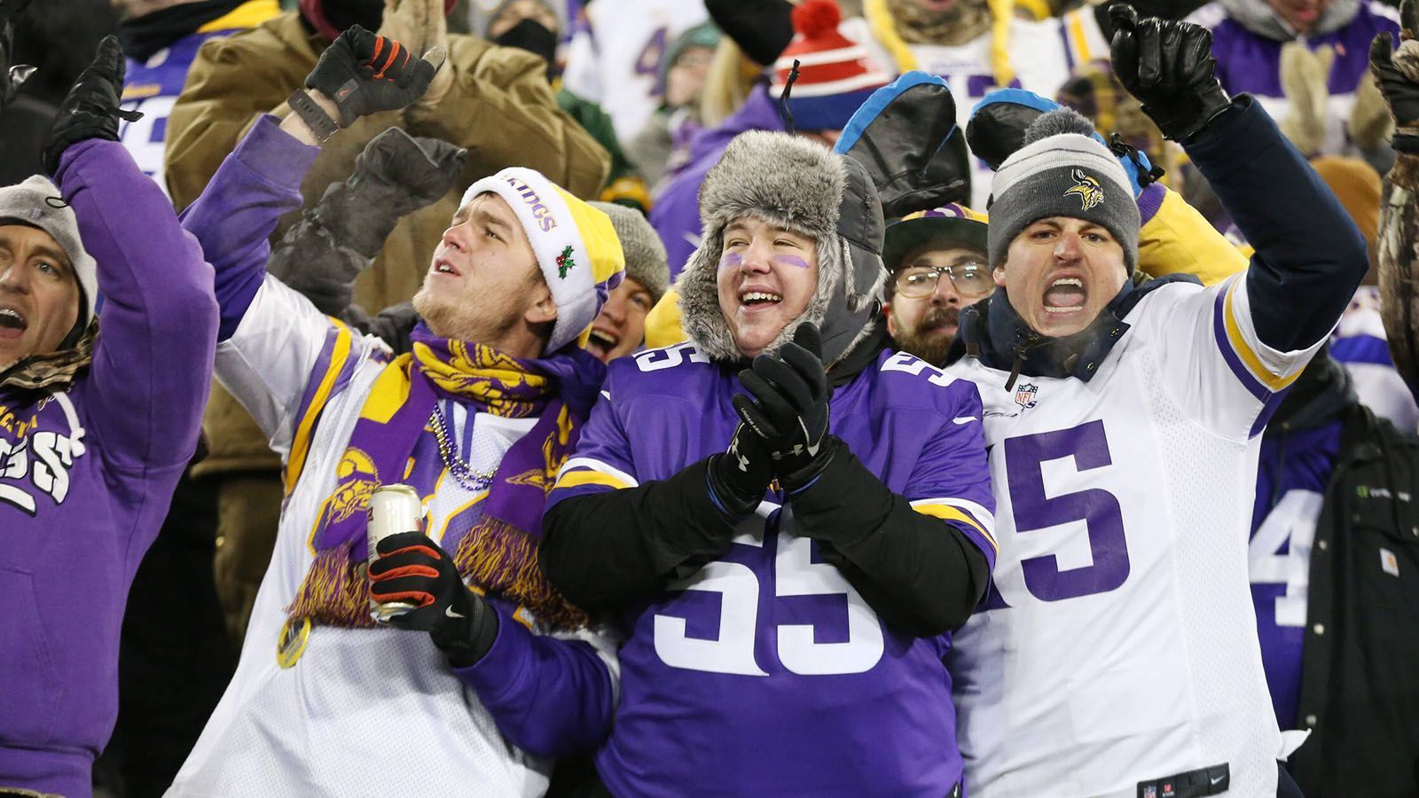 
                <strong>Platz 24: Minnesota Vikings</strong><br>
                
              